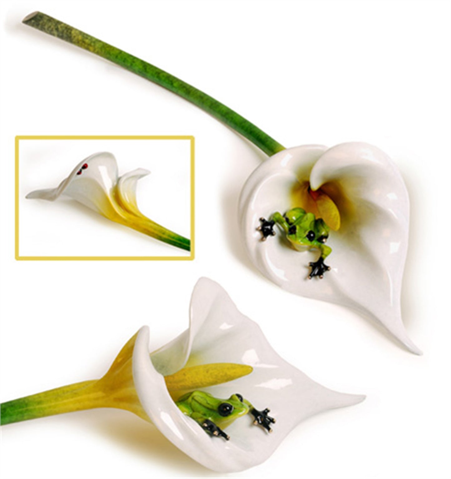 Calla Lily